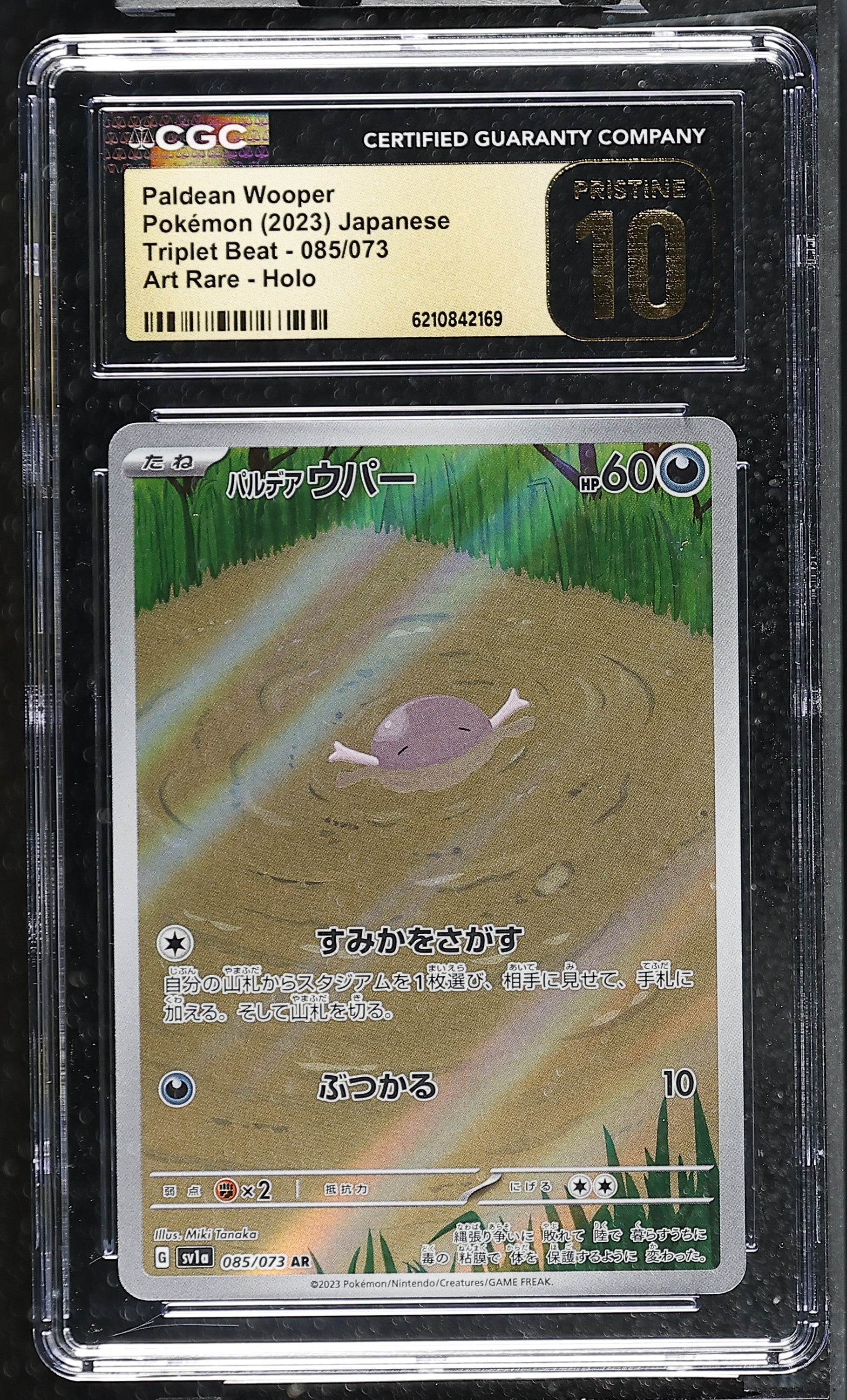 01-obverse.jpg