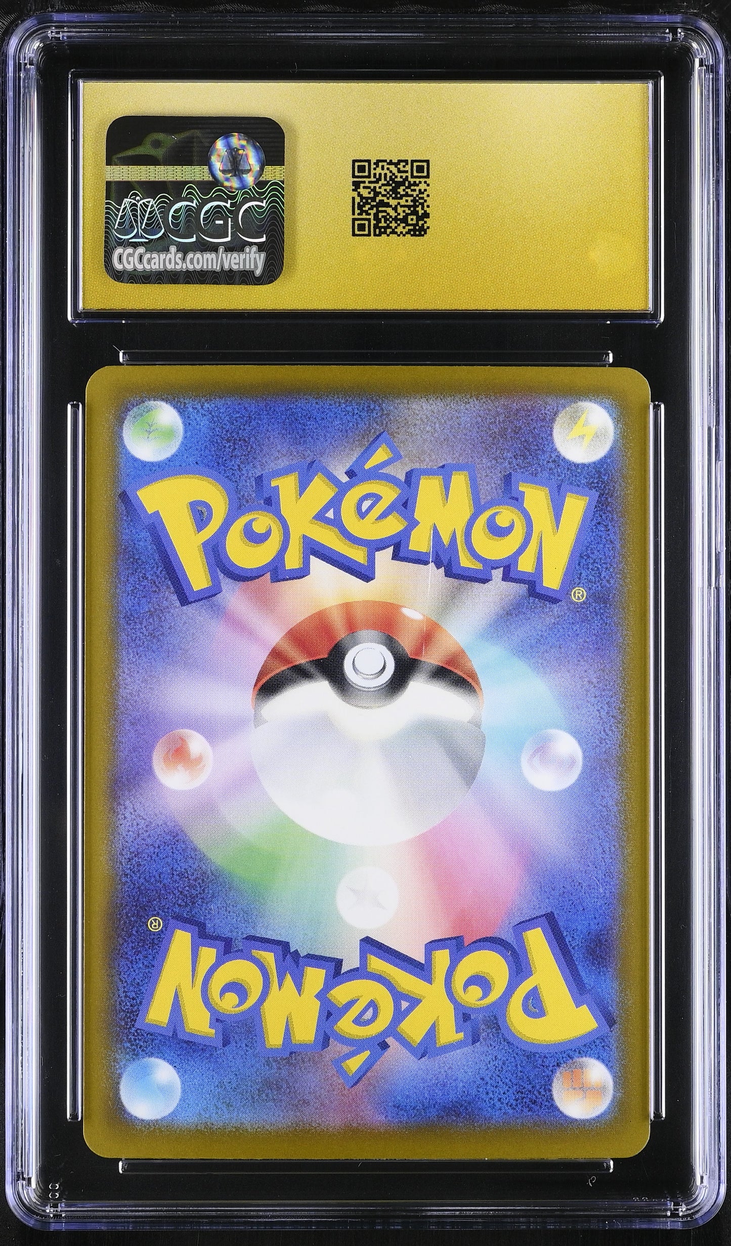 02-back.jpg