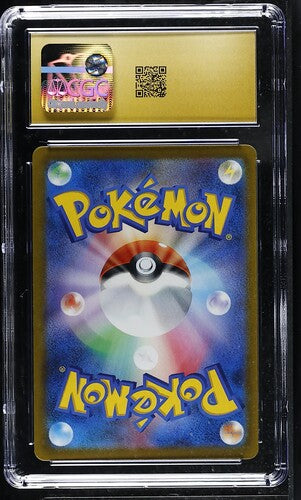 02-back.jpg