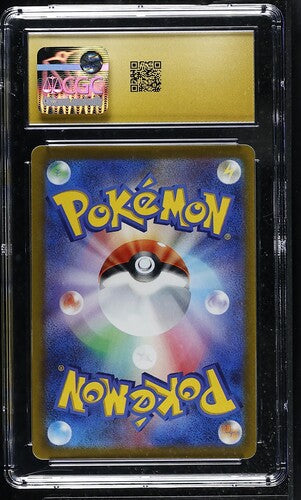 02-back.jpg